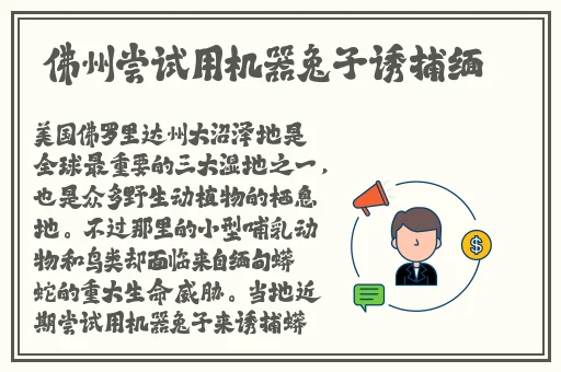 星空无限传媒官网星媒体网站